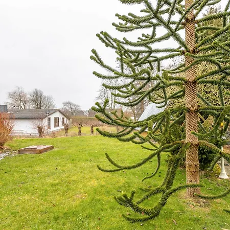 Apartment Backbord Deichhausen